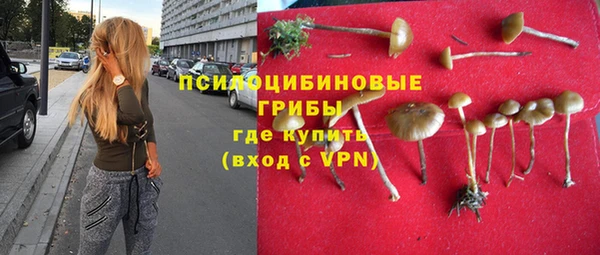 прущие крисы Балахна