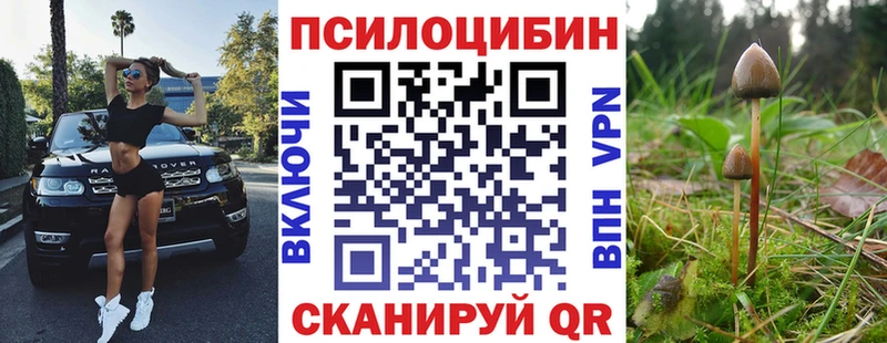 закладка  Кушва  маркетплейс состав  Псилоцибиновые грибы мицелий 