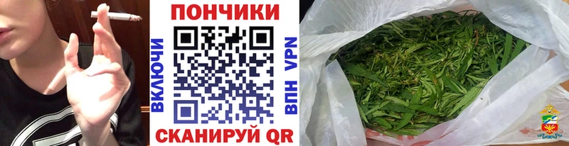 Конопля гибрид  Кушва 